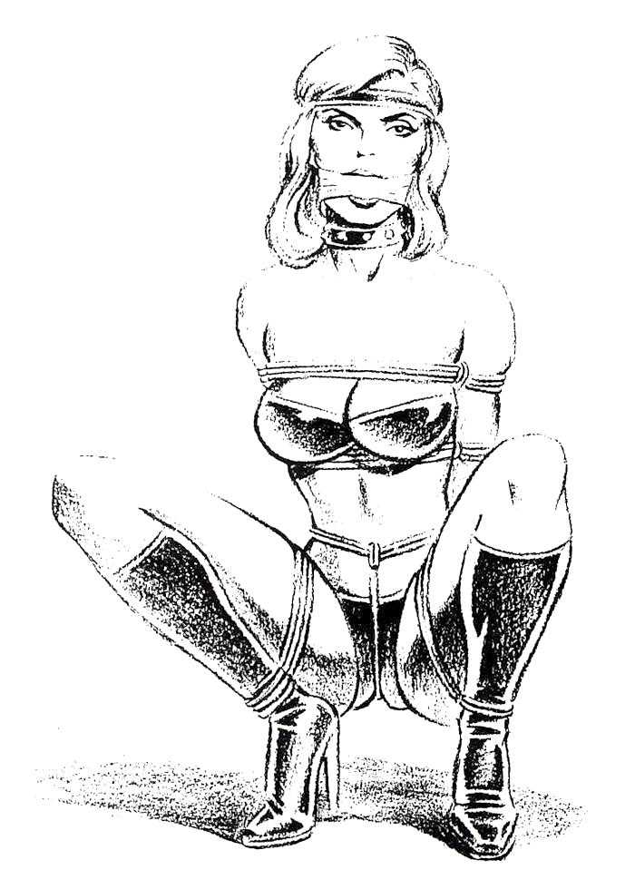 Thematic Drawn Porn Art 11 - BDSM (2), image 8.